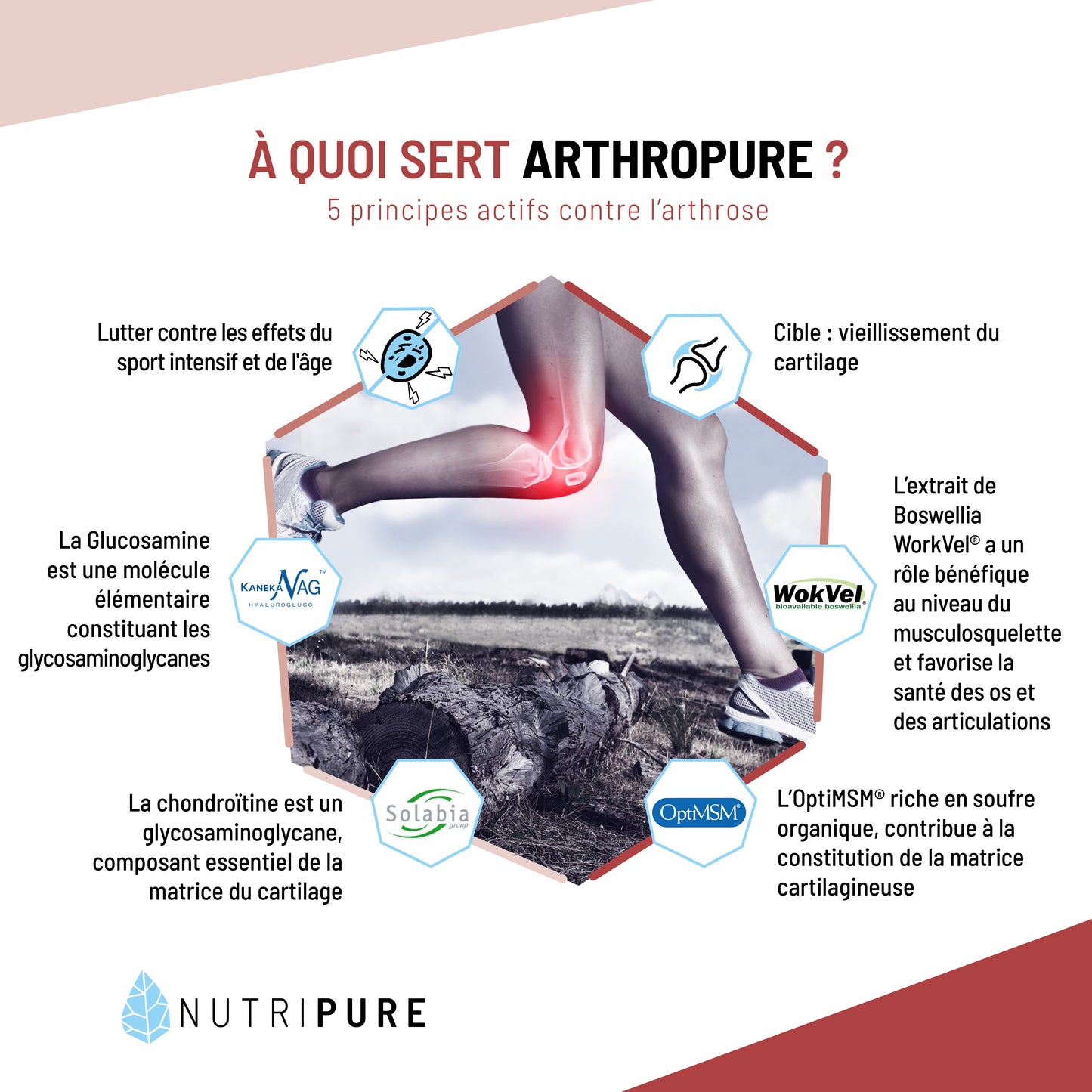 Arthropure  120 GÉLULES