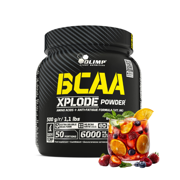 BCAA XPLODE POWDER 500G